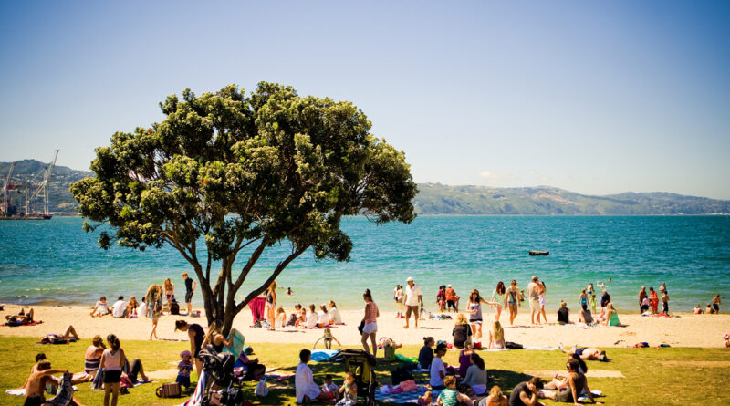 Oriental Bay, Wellington