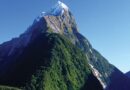 Breathtaking Fiordland